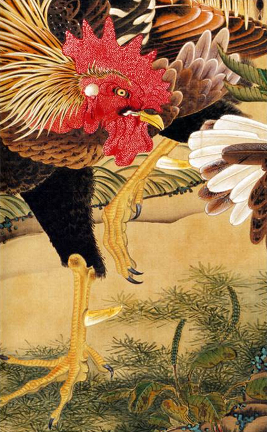 伊藤若冲と普賢寺の縁